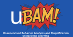 Unsupervised behaviour analysis and magnification (uBAM) using deep learning